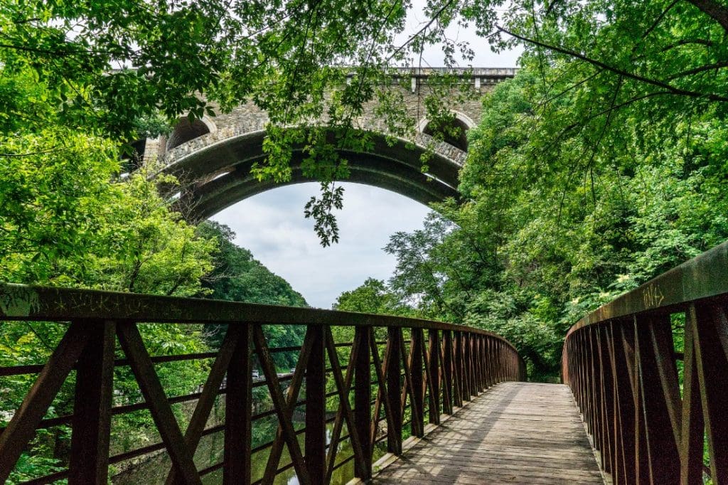 take it to the trail!